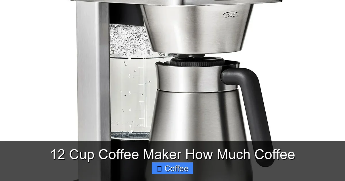 12 Cup Coffee Maker How Much Coffee