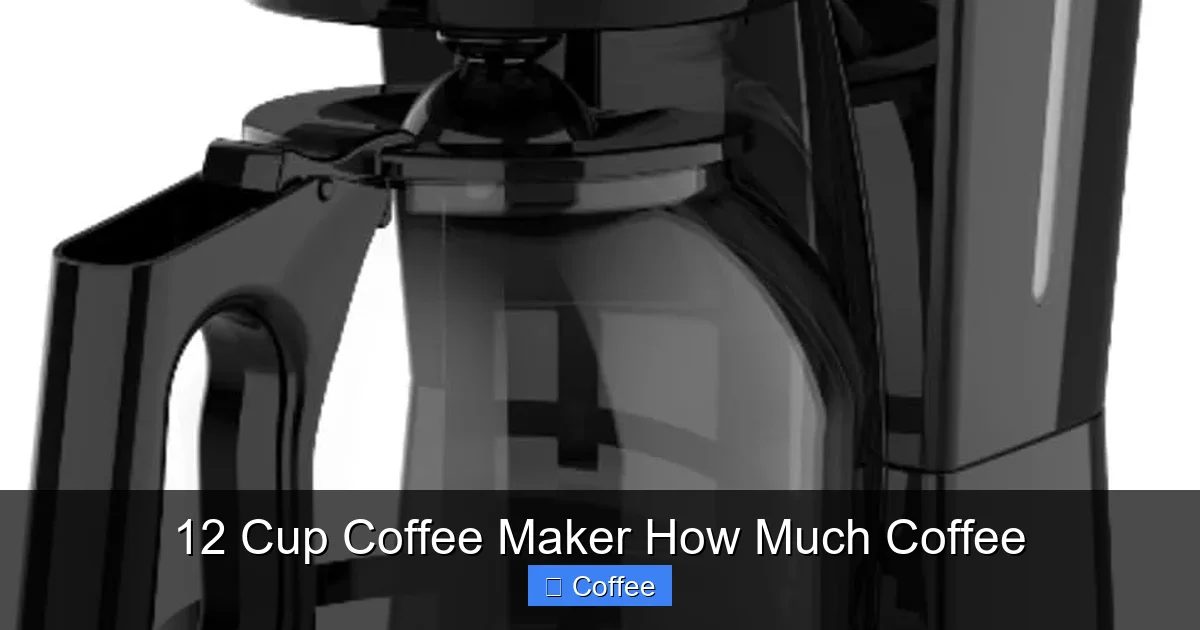 12 Cup Coffee Maker How Much Coffee