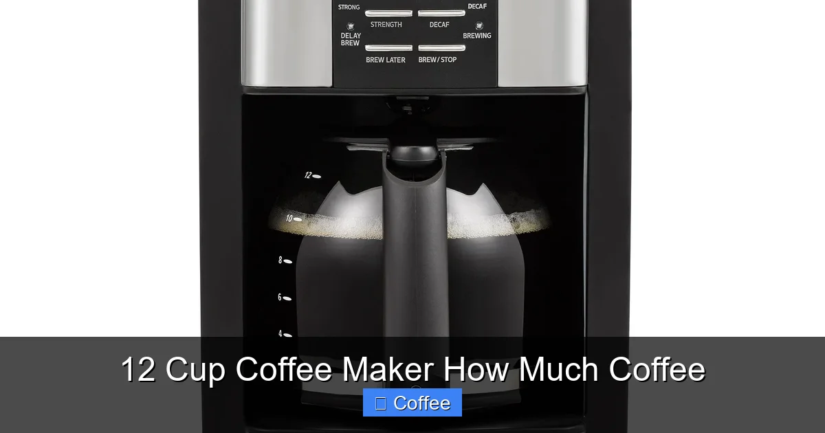 12 Cup Coffee Maker How Much Coffee