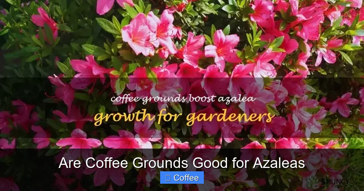 Are Coffee Grounds Good for Azaleas