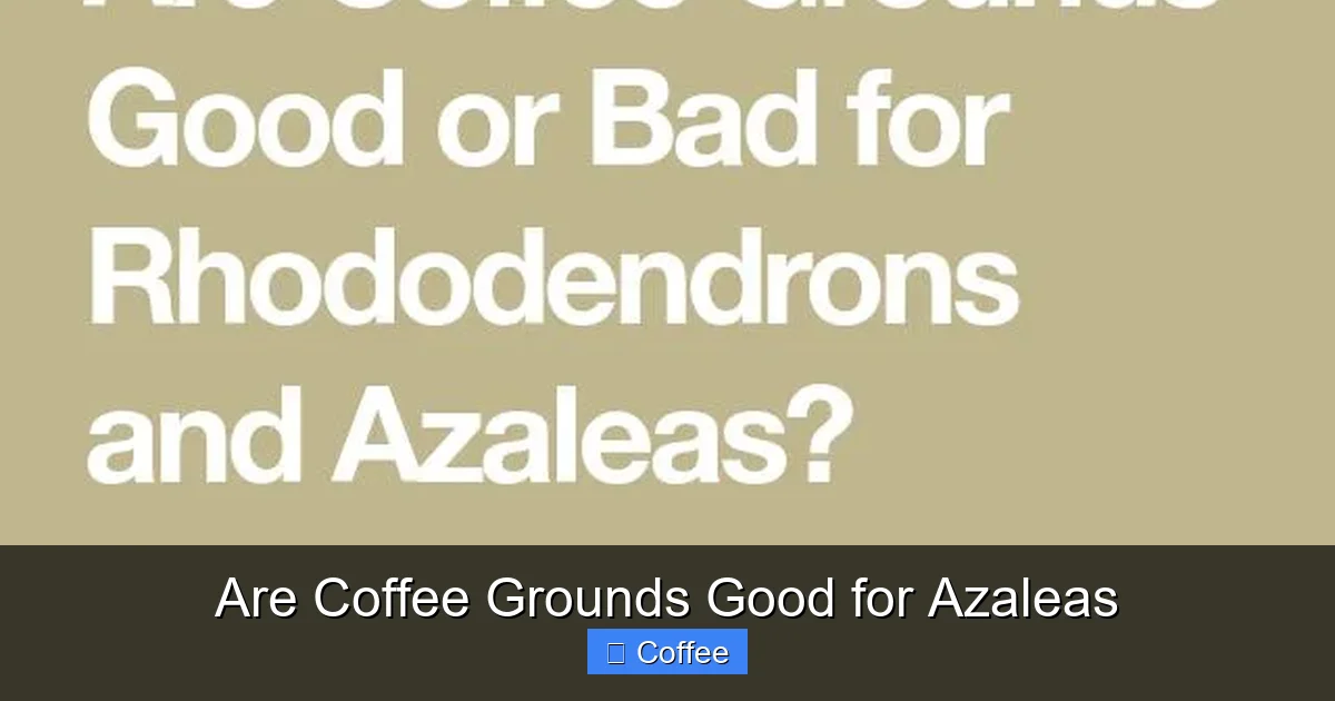 Are Coffee Grounds Good for Azaleas