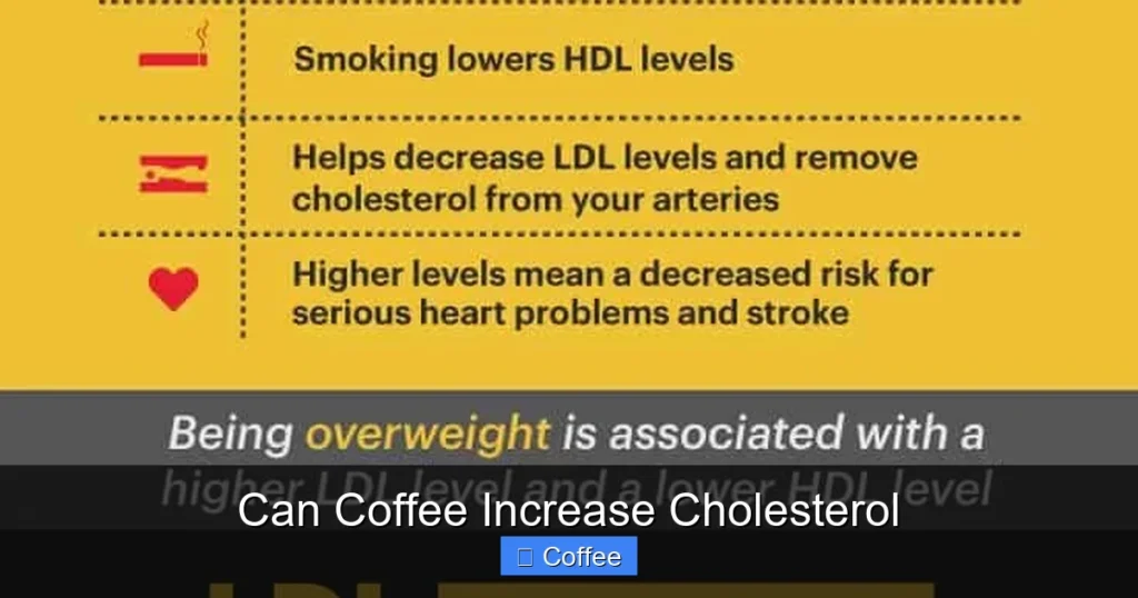 Can Coffee Increase Cholesterol