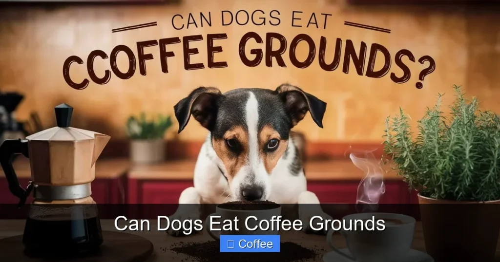 Can Dogs Eat Coffee Grounds