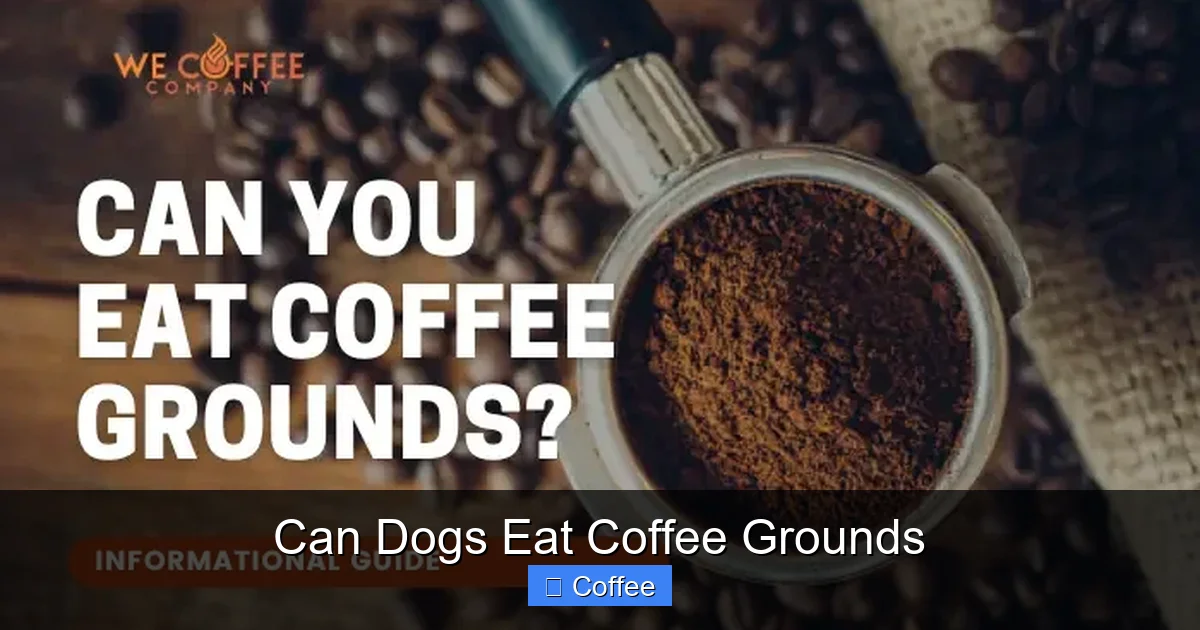 Can Dogs Eat Coffee Grounds