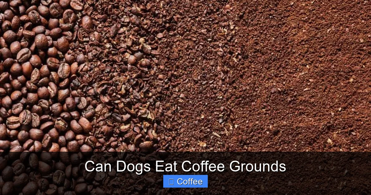 Can Dogs Eat Coffee Grounds