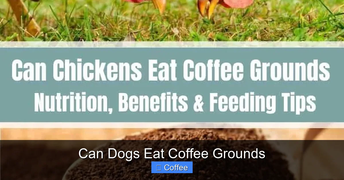 Can Dogs Eat Coffee Grounds