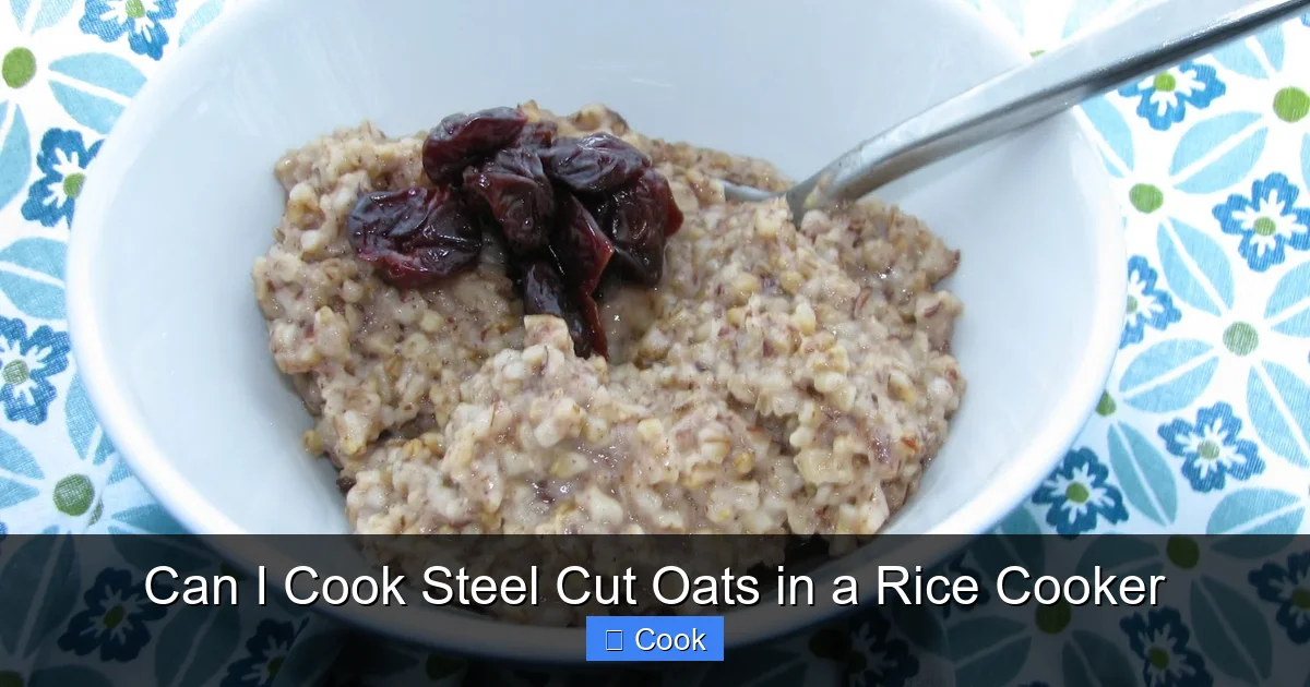 Can I Cook Steel Cut Oats in a Rice Cooker