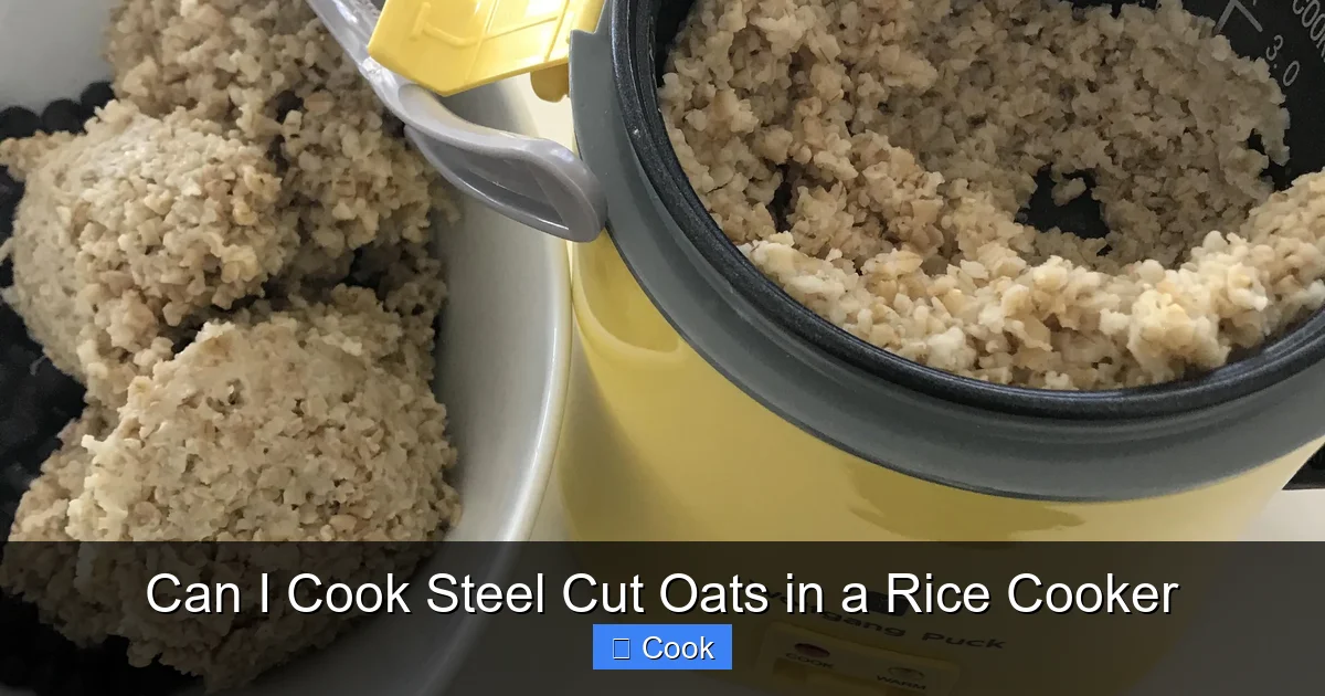 Can I Cook Steel Cut Oats in a Rice Cooker