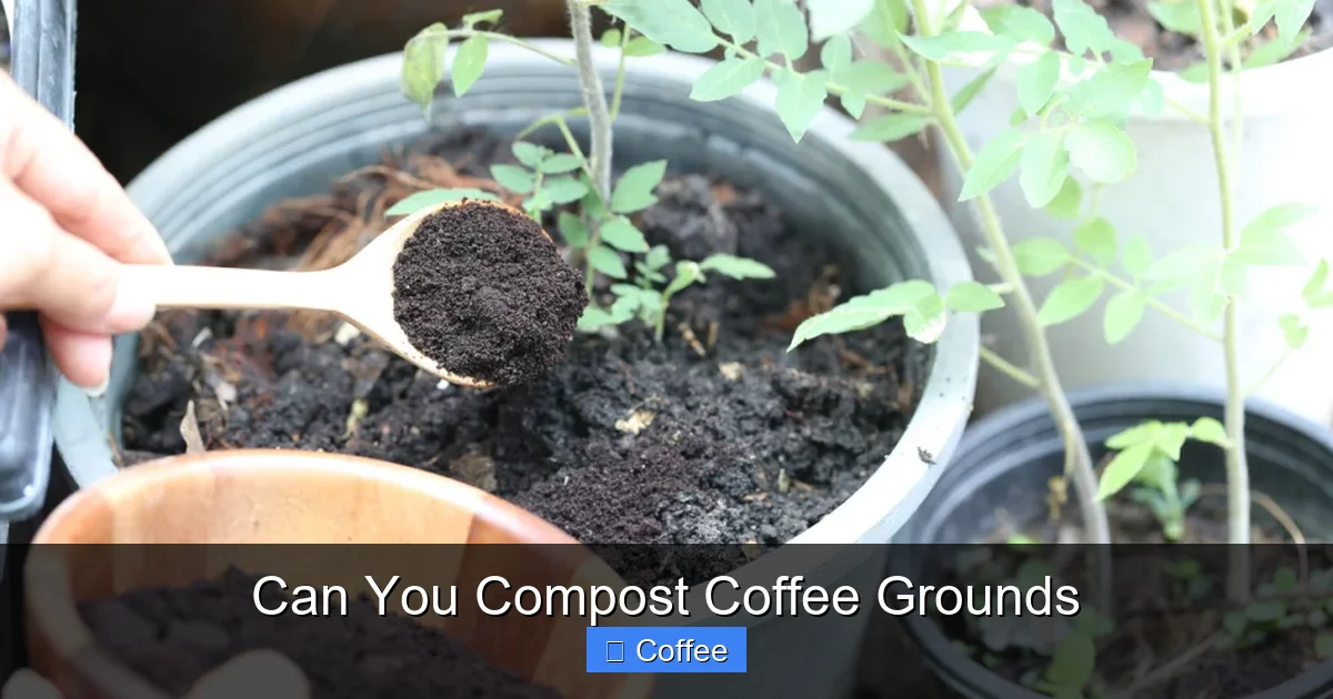 Can You Compost Coffee Grounds