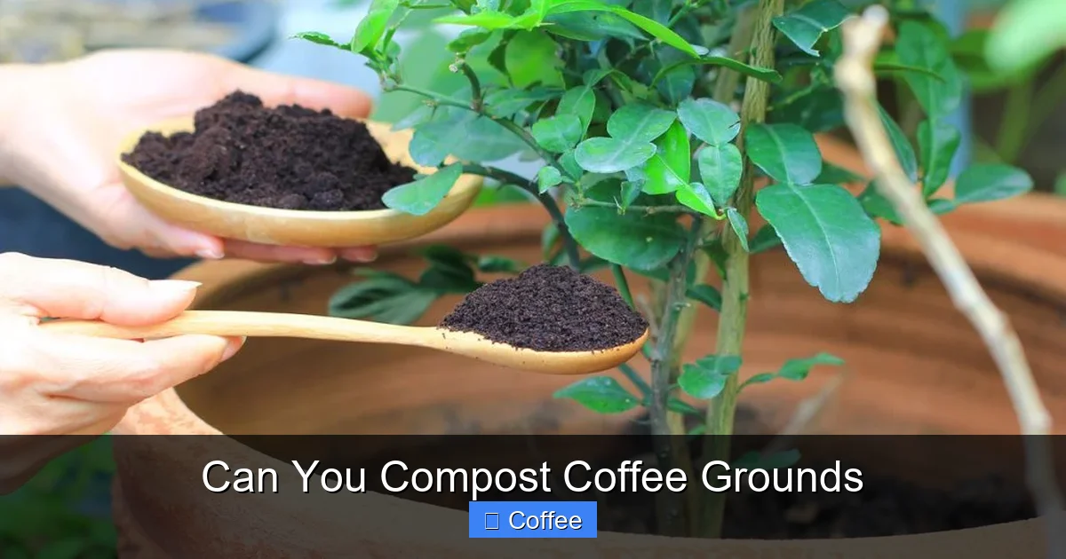 Can You Compost Coffee Grounds
