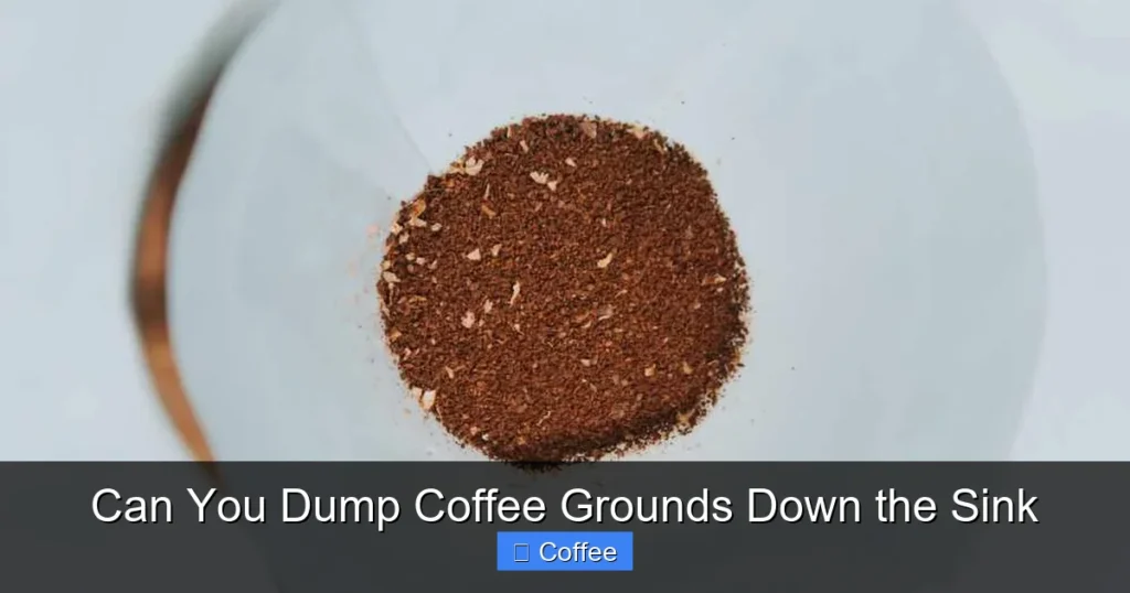 Can You Dump Coffee Grounds Down the Sink