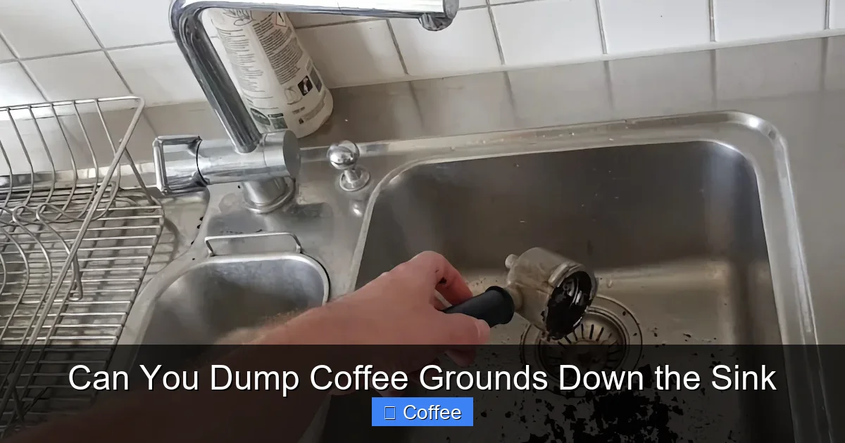 Can You Dump Coffee Grounds Down the Sink
