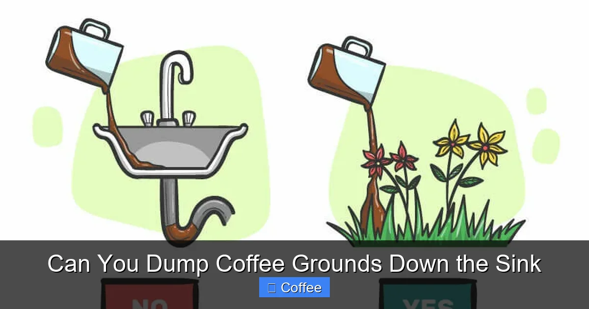 Can You Dump Coffee Grounds Down the Sink