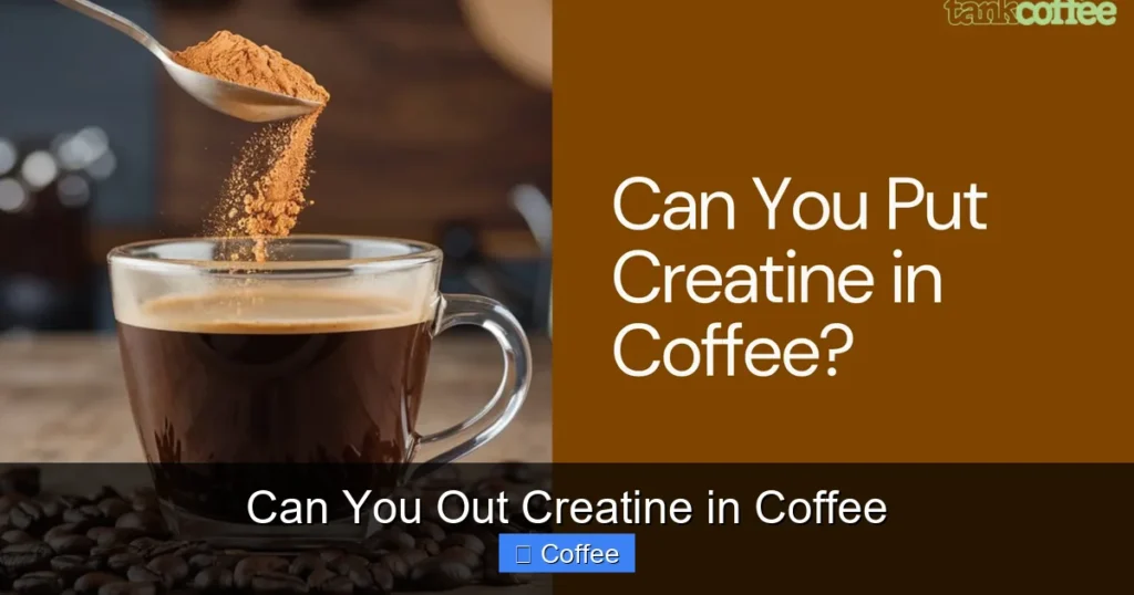 Can You Out Creatine in Coffee