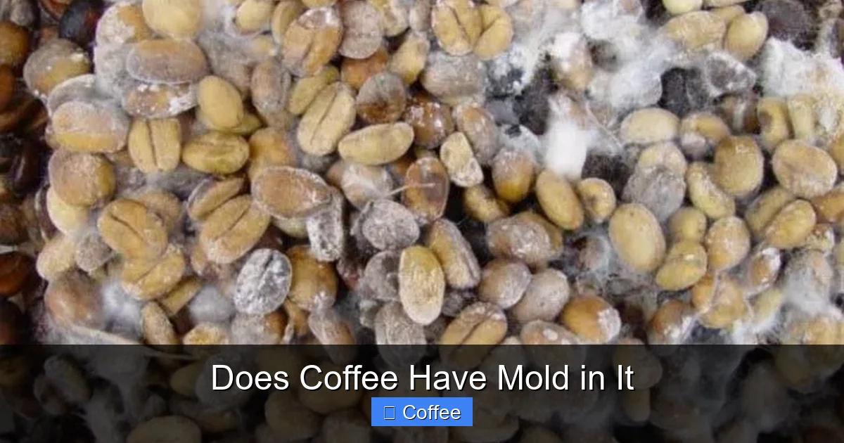 Does Coffee Have Mold in It