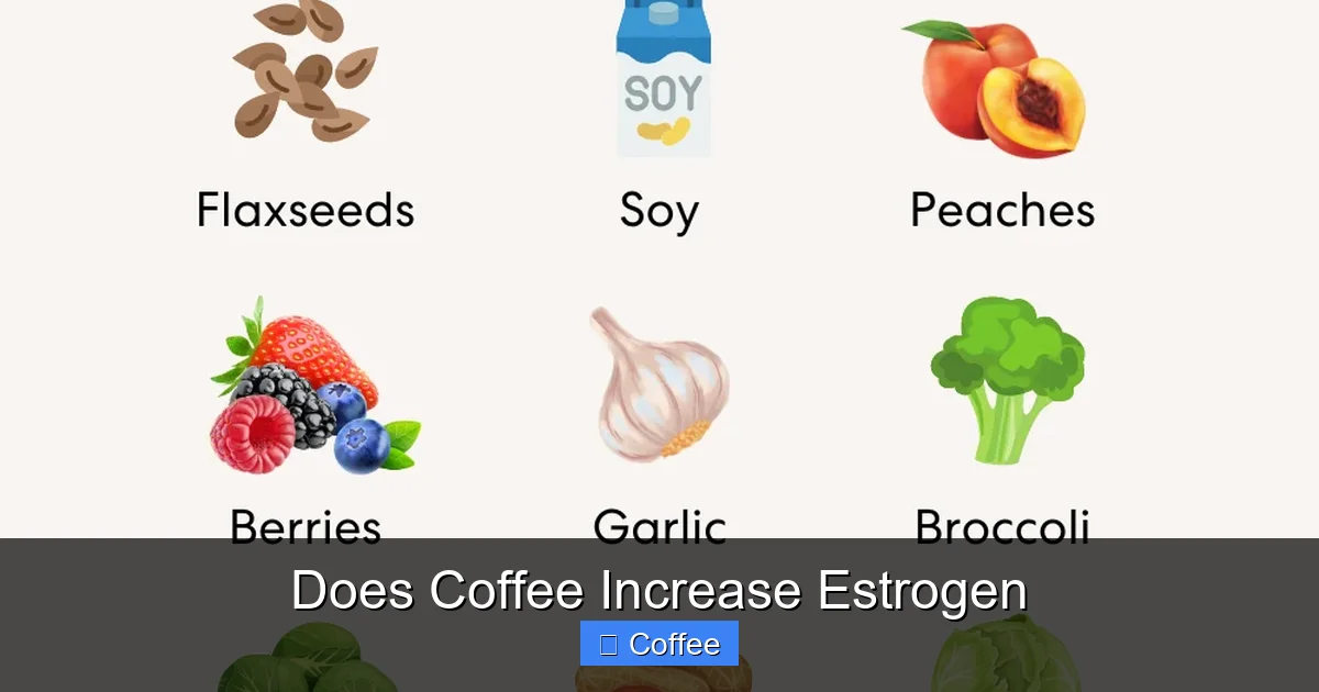 Does Coffee Increase Estrogen