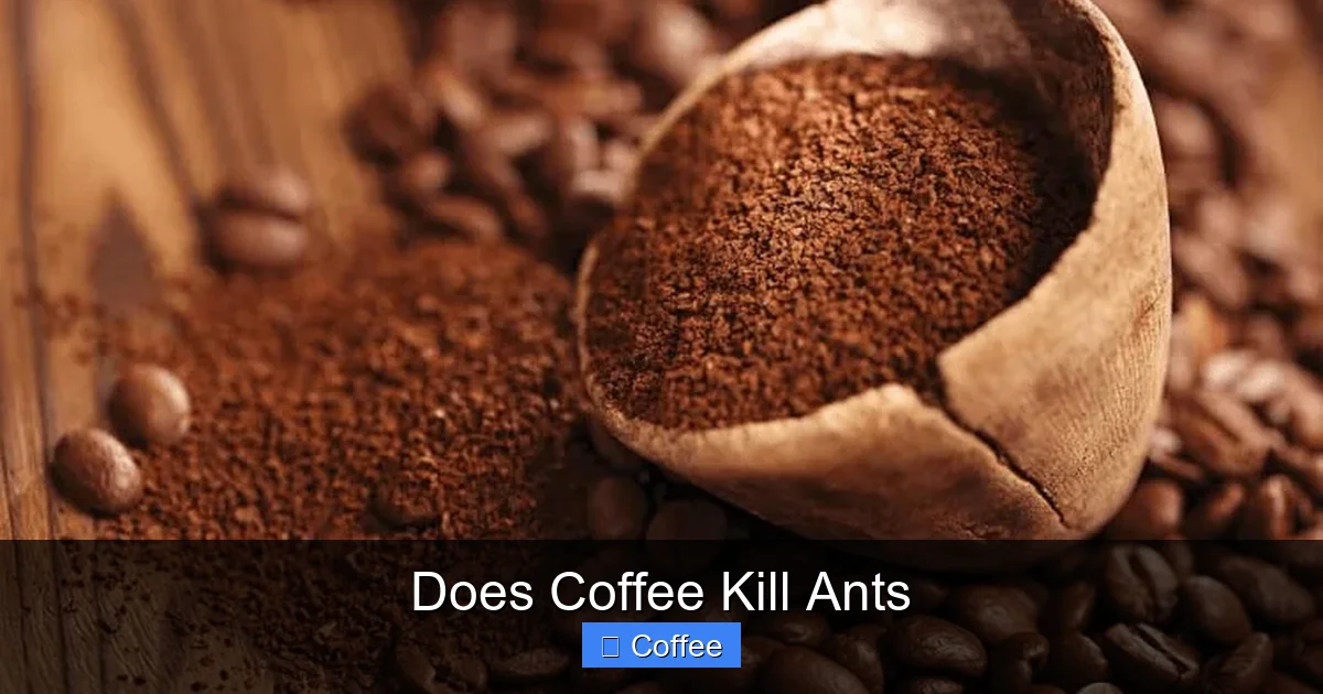 Does Coffee Kill Ants