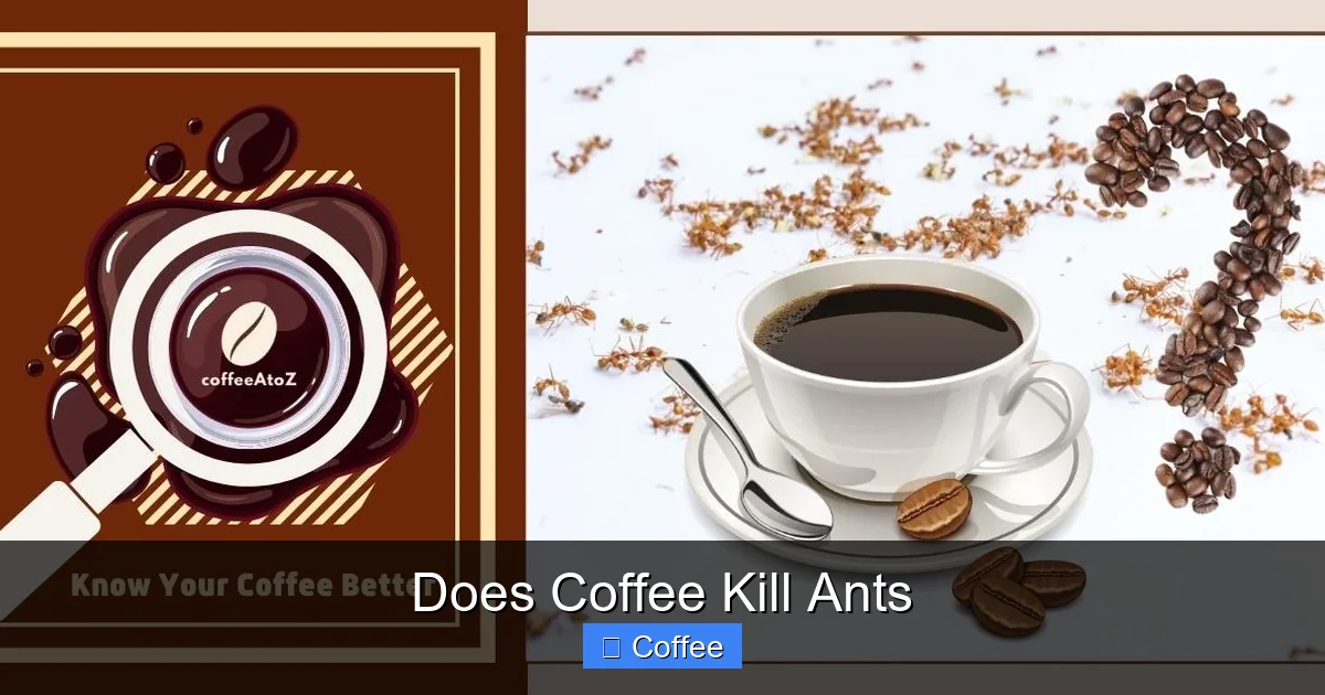 Does Coffee Kill Ants