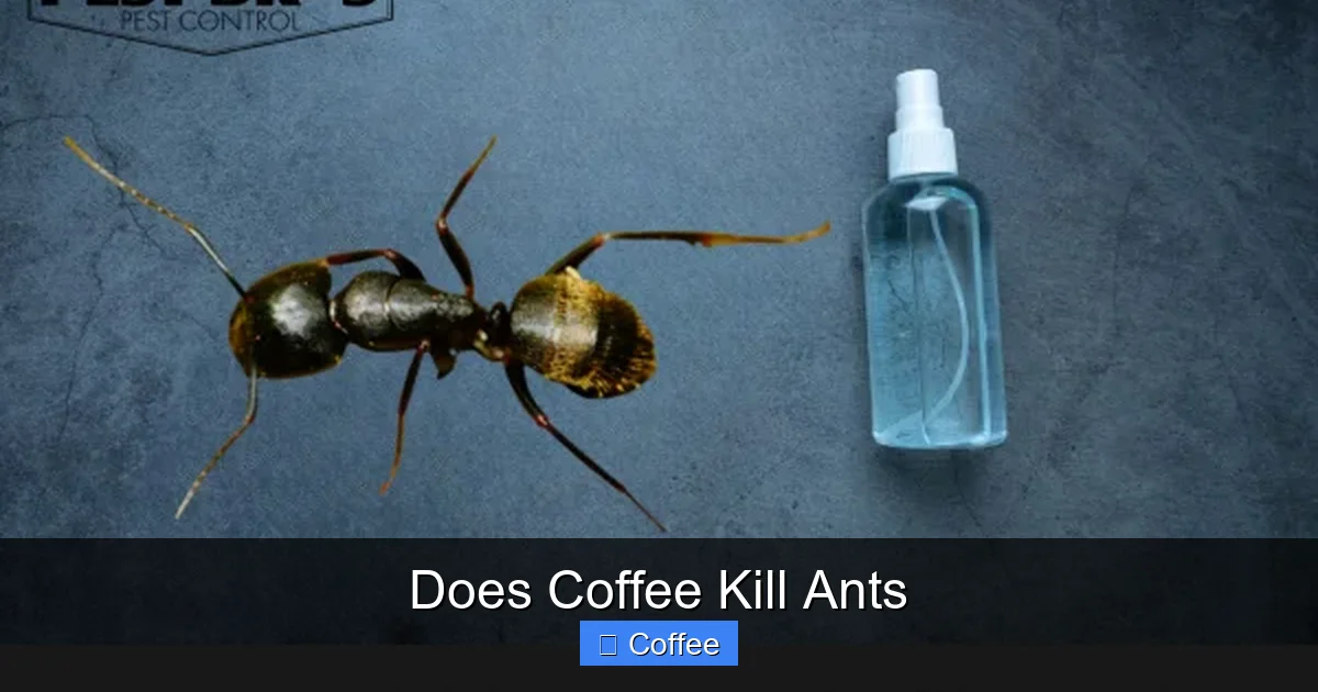 Does Coffee Kill Ants