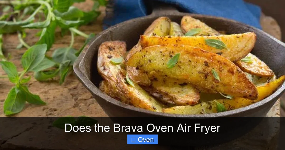 Does the Brava Oven Air Fryer
