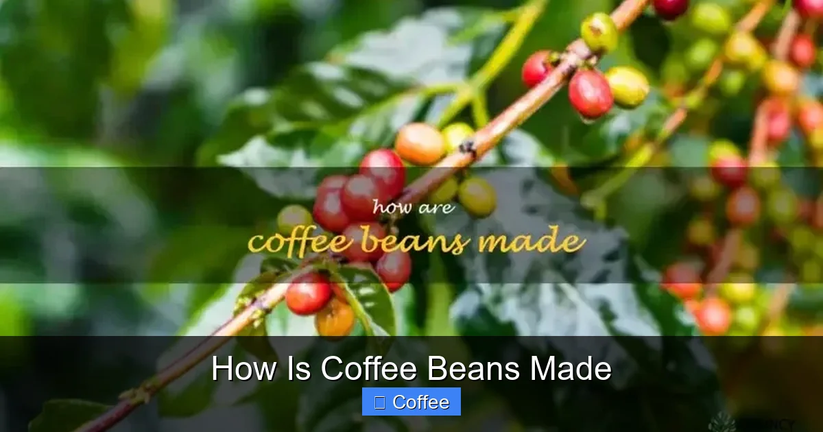 How Is Coffee Beans Made