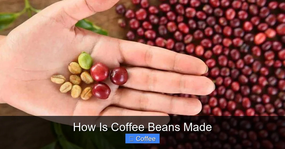 How Is Coffee Beans Made