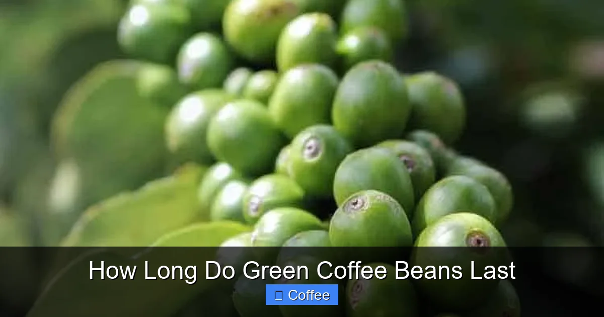 How Long Do Green Coffee Beans Last
