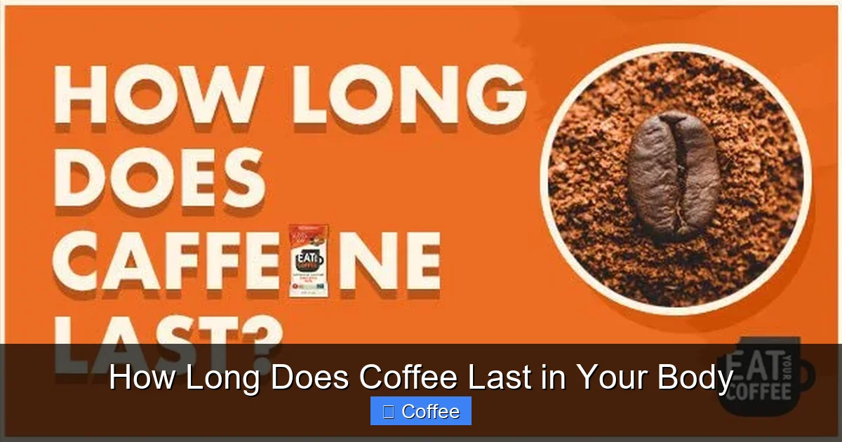 How Long Does Coffee Last in Your Body