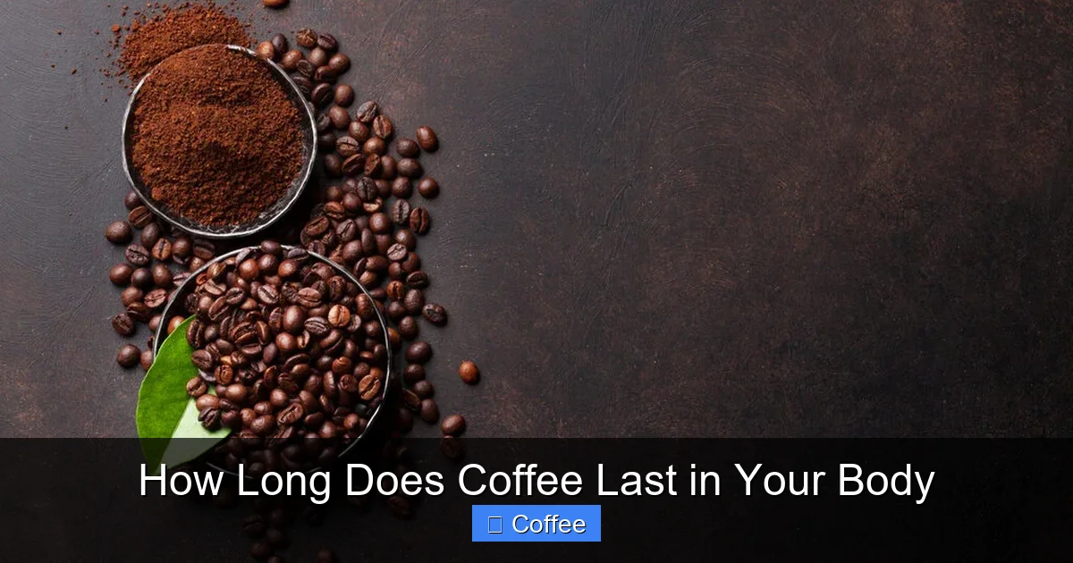 How Long Does Coffee Last in Your Body