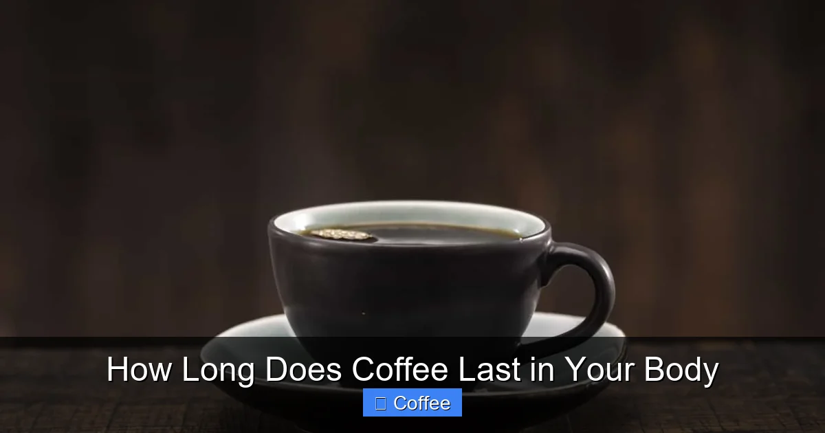 How Long Does Coffee Last in Your Body