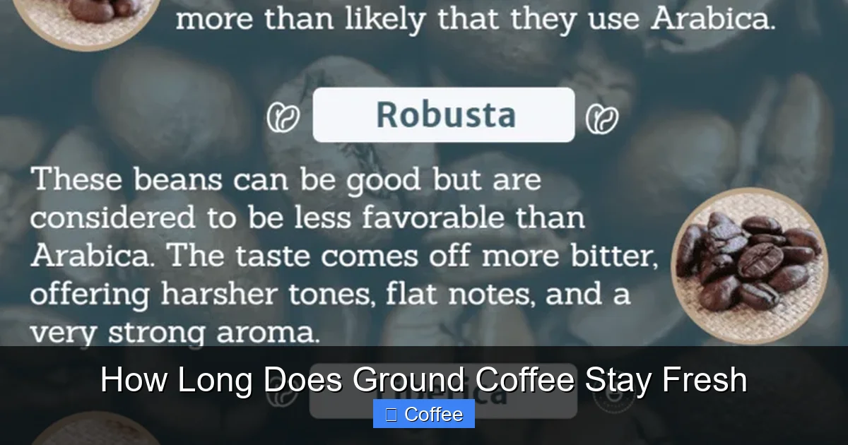 How Long Does Ground Coffee Stay Fresh