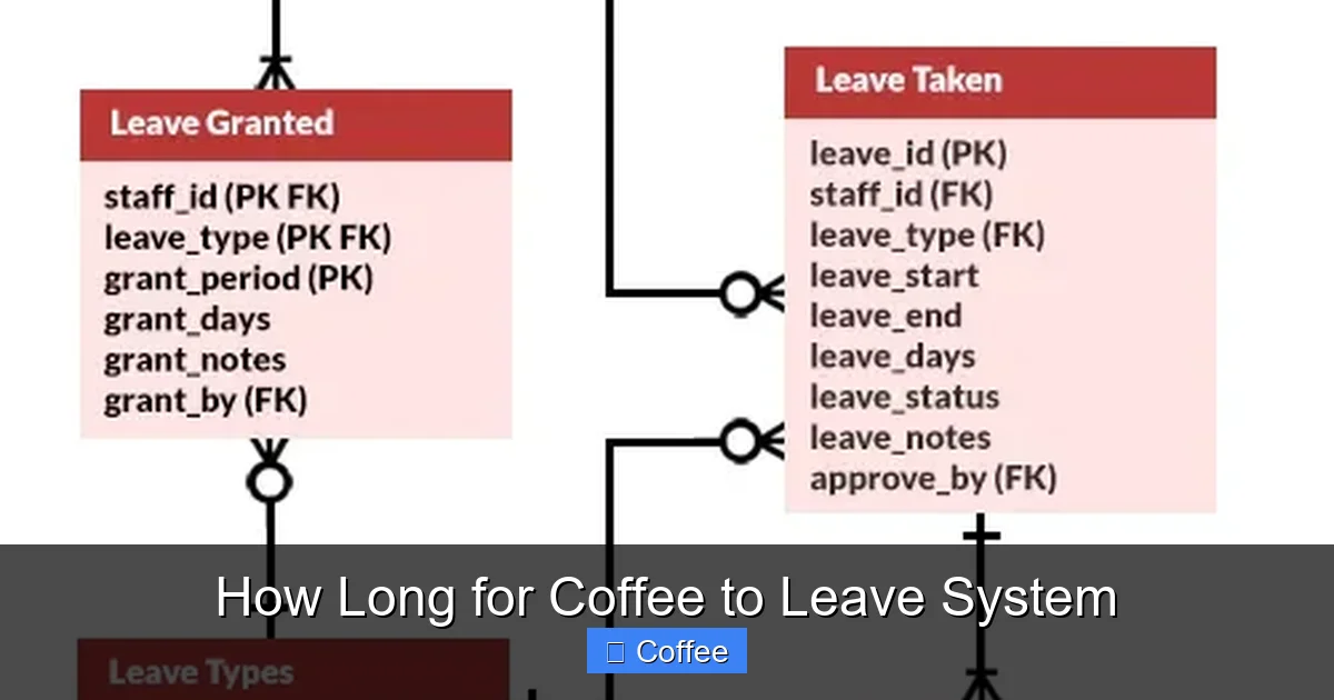 How Long for Coffee to Leave System