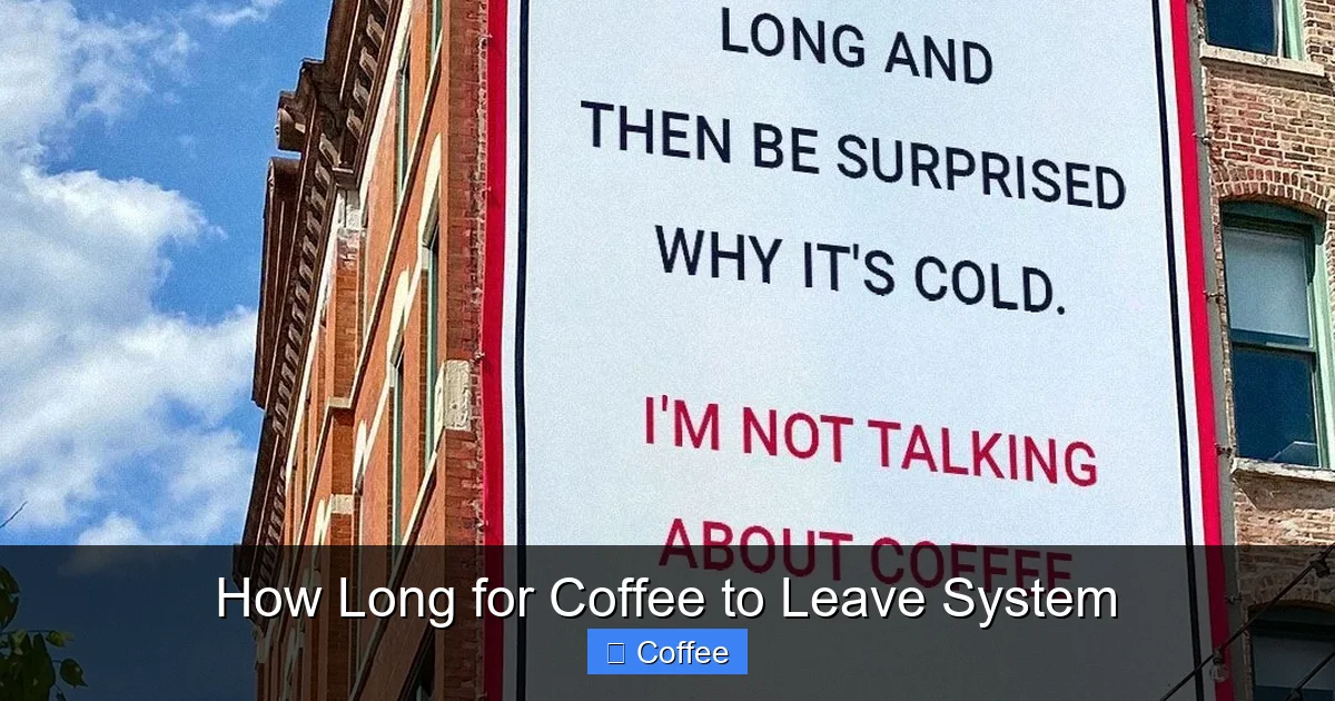 How Long for Coffee to Leave System