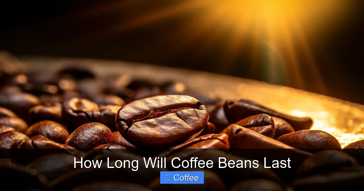 How Long Will Coffee Beans Last