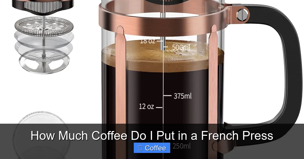 How Much Coffee Do I Put in a French Press