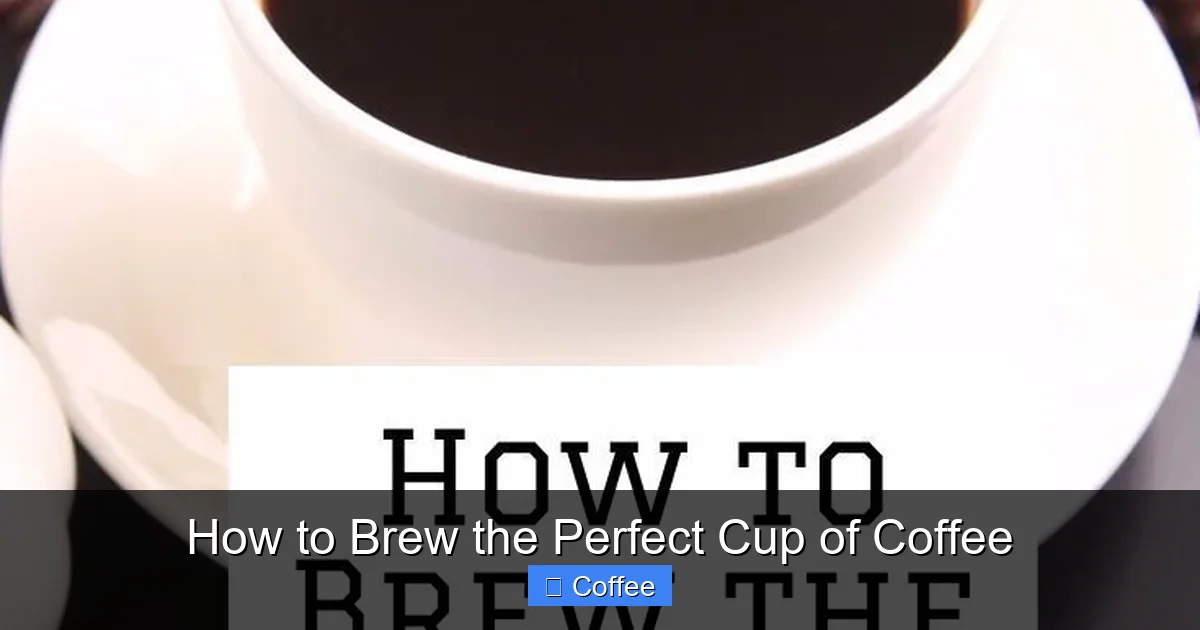 How to Brew the Perfect Cup of Coffee