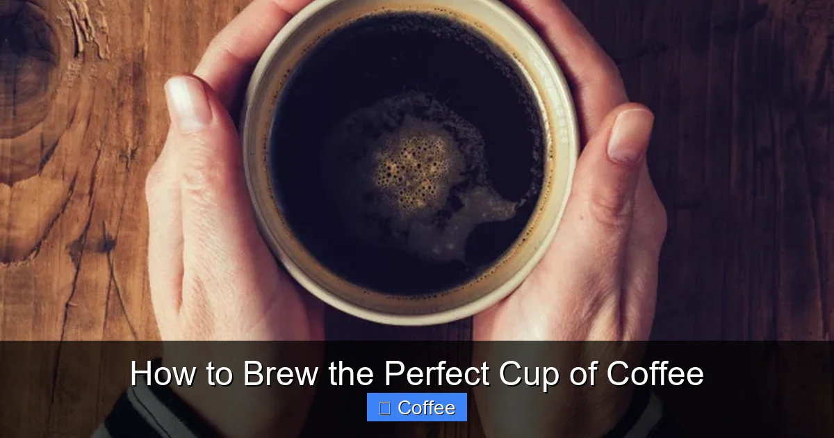 How to Brew the Perfect Cup of Coffee