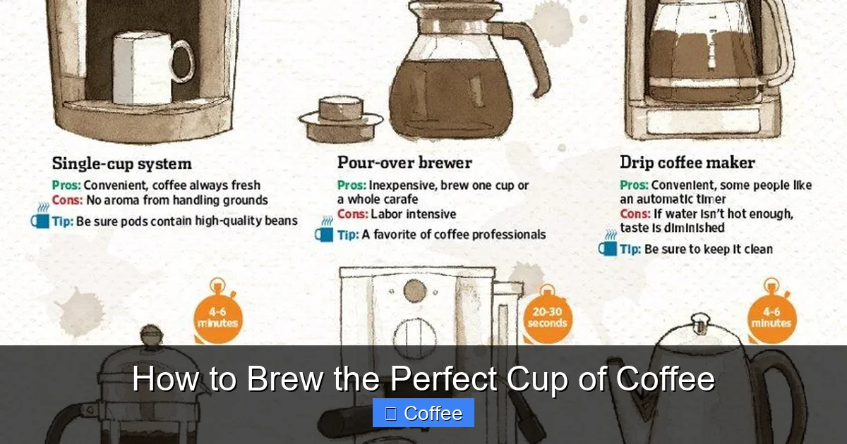 How to Brew the Perfect Cup of Coffee