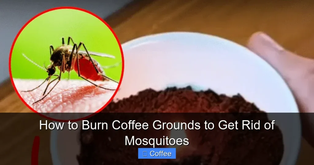 How to Burn Coffee Grounds to Get Rid of Mosquitoes