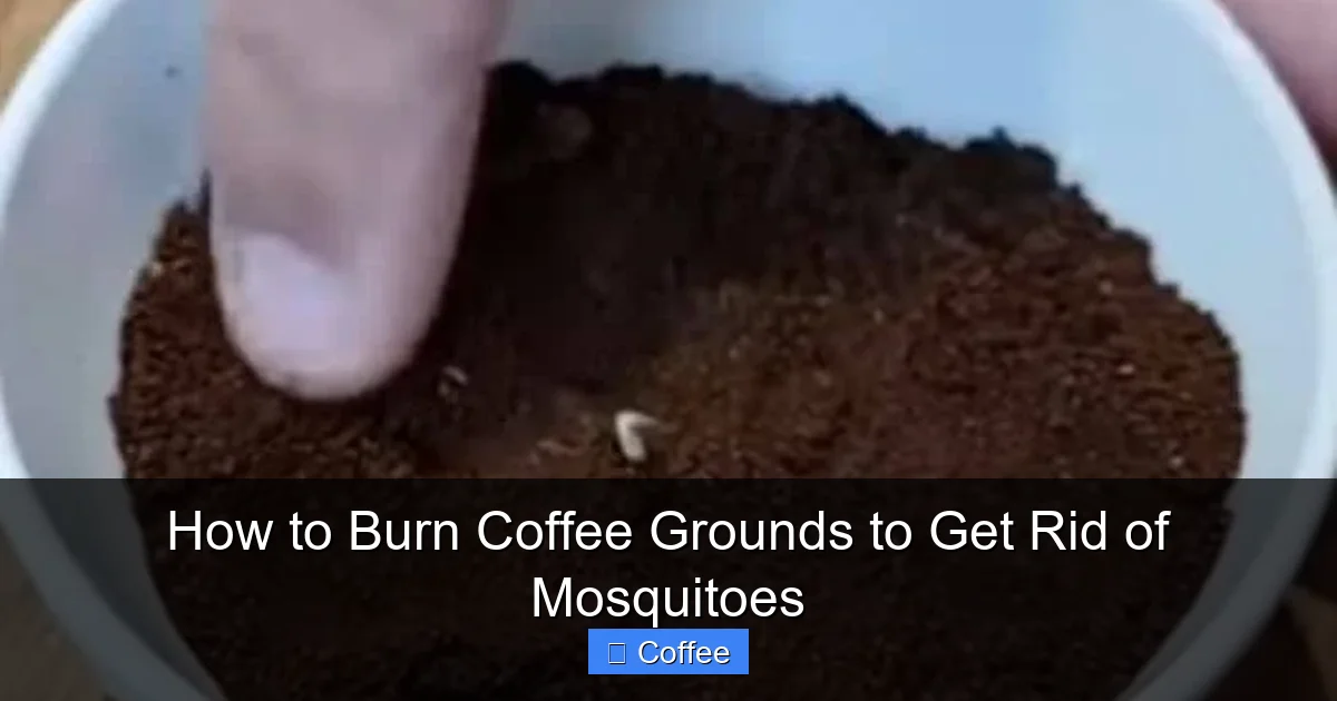 How to Burn Coffee Grounds to Get Rid of Mosquitoes