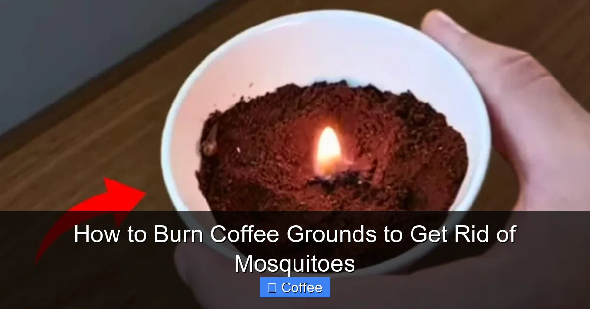 How to Burn Coffee Grounds to Get Rid of Mosquitoes