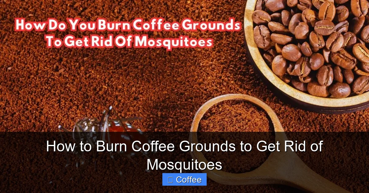 How to Burn Coffee Grounds to Get Rid of Mosquitoes