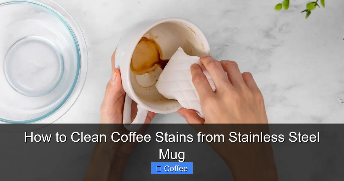 How to Clean Coffee Stains from Stainless Steel Mug