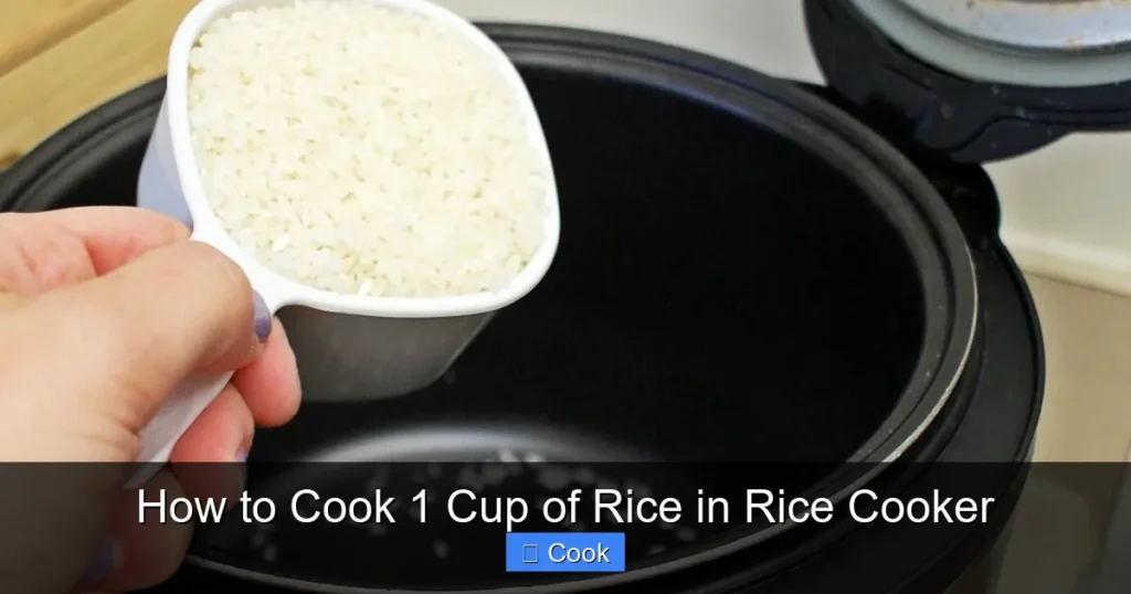 How to Cook 1 Cup of Rice in Rice Cooker