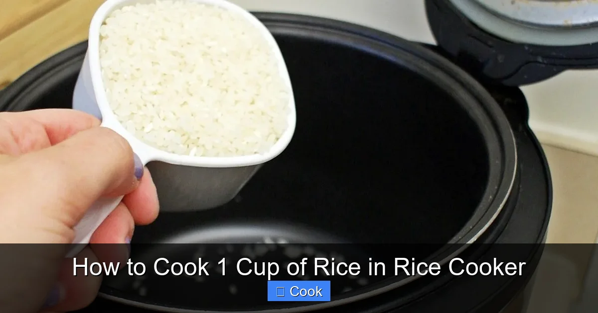 How to Cook 1 Cup of Rice in Rice Cooker