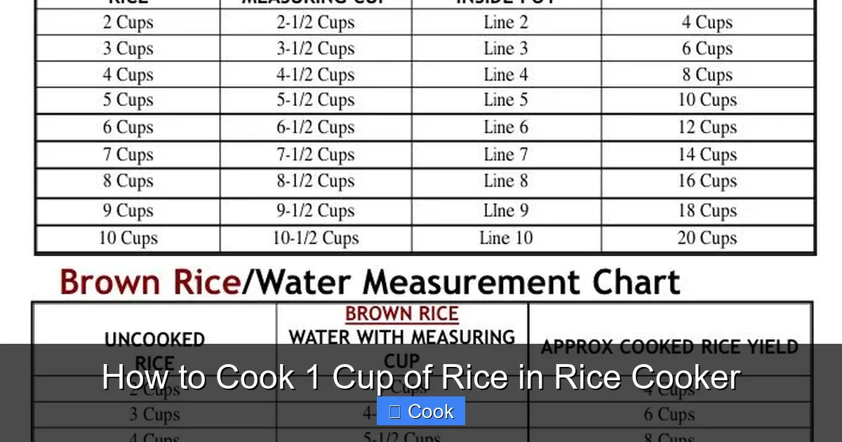 How to Cook 1 Cup of Rice in Rice Cooker